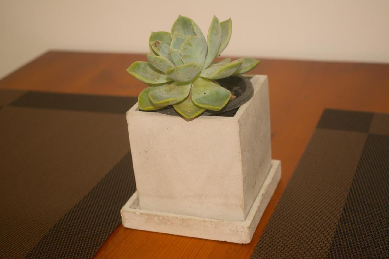Serene Home 康提 外观 照片