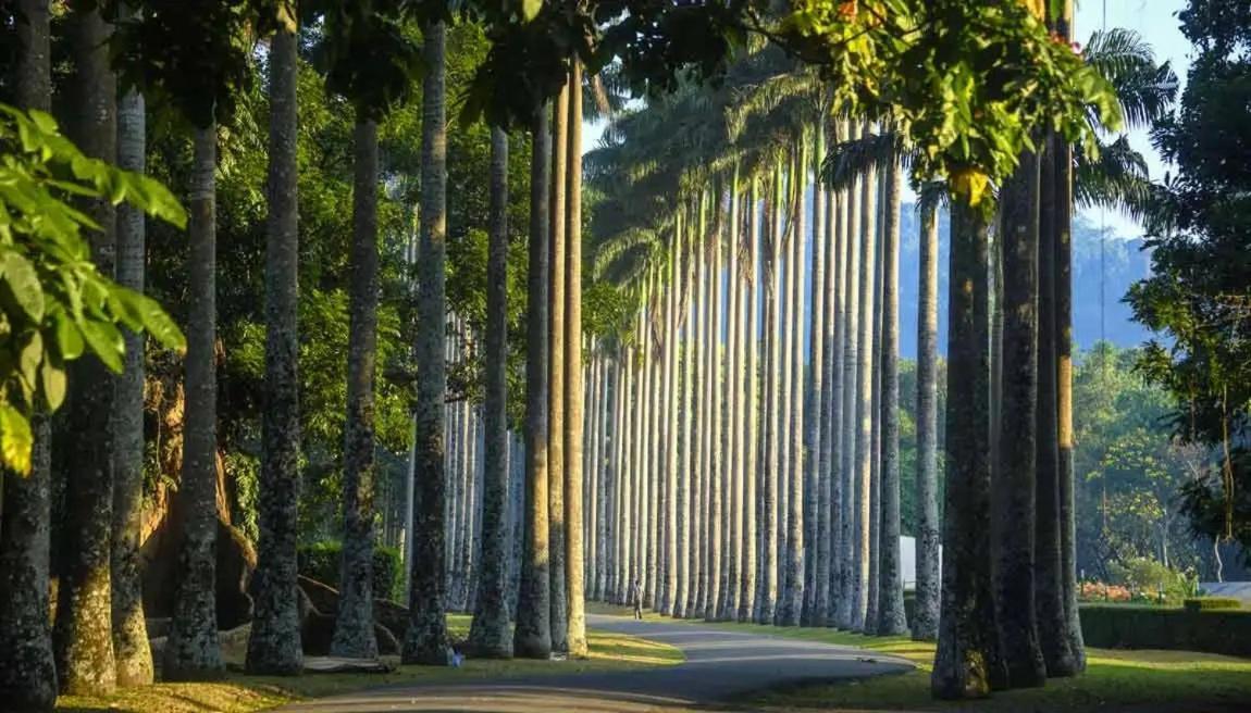 Serene Home 康提 外观 照片